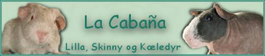 Lacabana_banner2.jpg