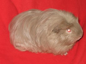 Lemutski